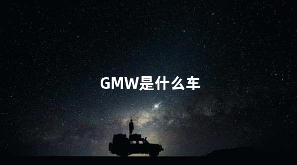 GMW是什么车