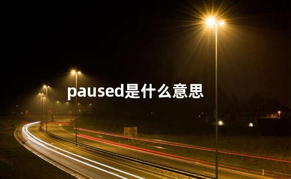 paused是什么意思
